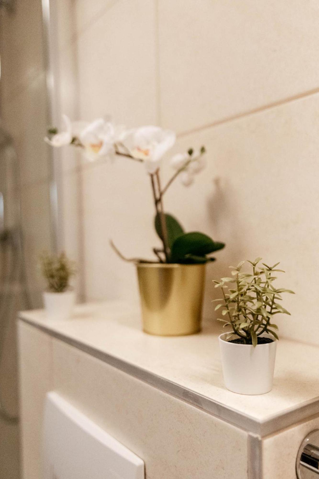 Minilux - Prater22 Apartment Budapest Ngoại thất bức ảnh